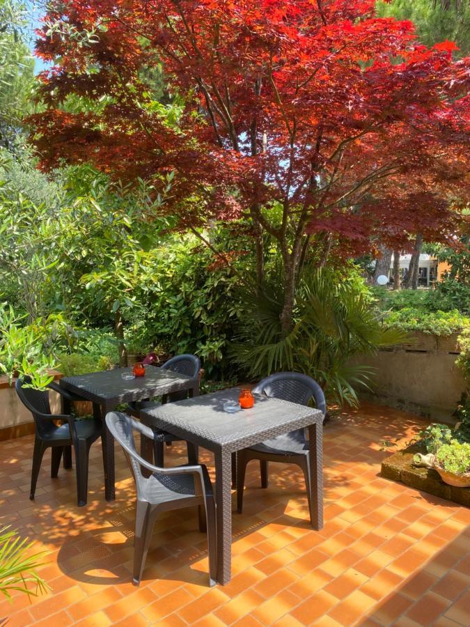 Hotel Rosapineta - Adults Only 利尼亚诺萨比亚多罗 外观 照片